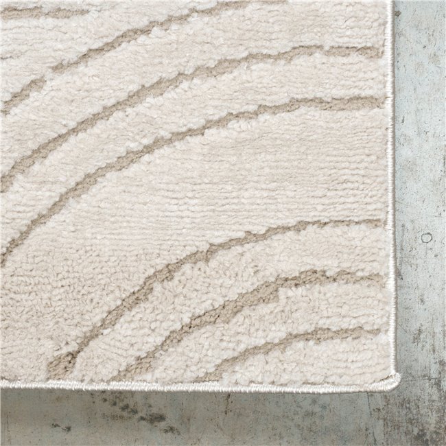 Carpet Alloy 54406/B6Y/W, light taupe, 200x285cm