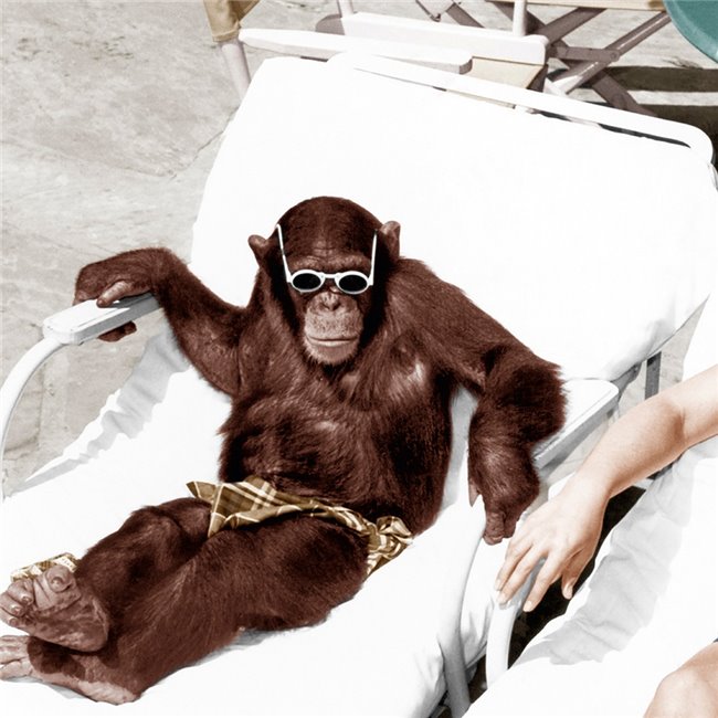 Картина на холсте Sunbath, 95x95cm