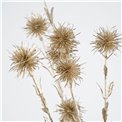 Decorative branch 4A brown, H75cm