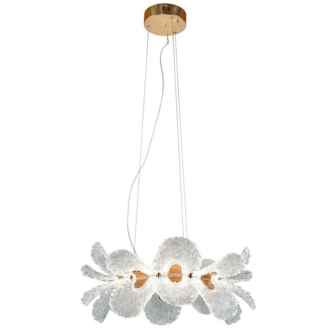 Pendant lamp Smilroure 60, transparent/gold color, D60cm, LED 80W, 3000K/4000K/6000K