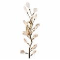 Wall lamp Jasseron gold, transparent/gold color, 25x65cm, LED 16W, 3000K, 880lm