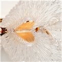 Wall lamp Smilde, transparent/gold color, H20x35cm, LED 24W, 3000K/4000K/6000K, 1320lm