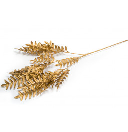 Decorative plant Polypody California, H77cm