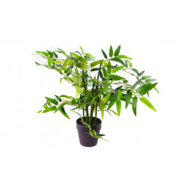 Decorative Bamboo in pot,  H50cm