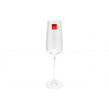 Champagne glass Vista, 250 ml, H24.5x5cm