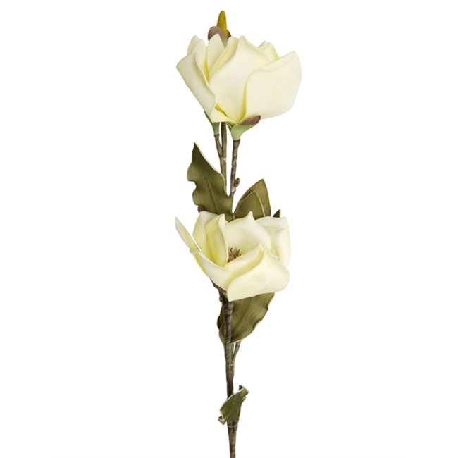 Decorative plant Helleborus A01, cream/green, 120cm