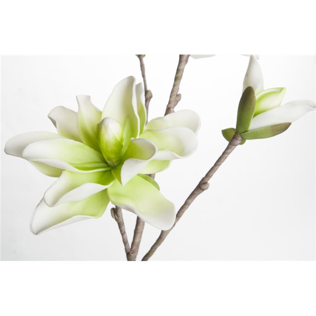 Branch Medea with green/white flowers, H109cm