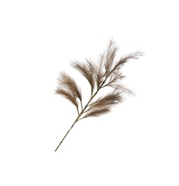 Decorative plant Meskantus DK.BR, 124cm