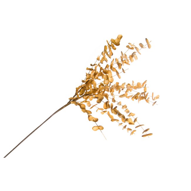 Decorative plant Barberis OR, 91cm