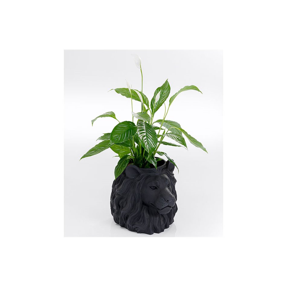 Deco planter Lion Black, 44x40x38cm D24.5