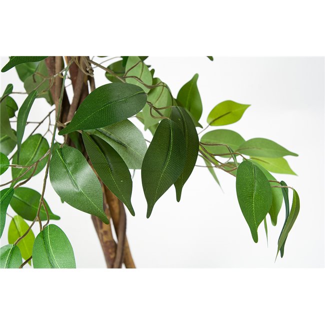 Artificial ficus in pot, H180cm