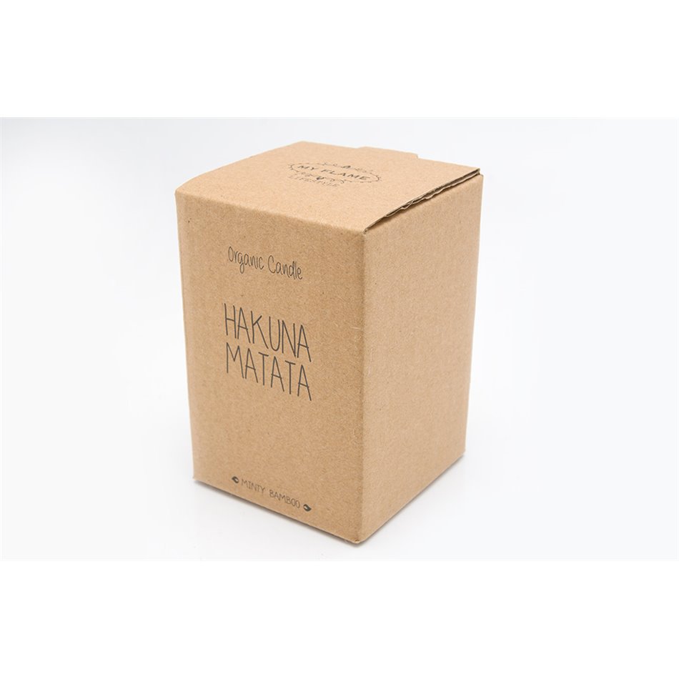 Scented soy candle in glass jar Hakuna Matata, green/grey, 35h, D6x9cm