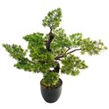 Artificial tree with pot Bonsai, H80x80x54cm