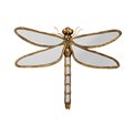 Wall deco Dragonfly mirror, 71x58x6cm