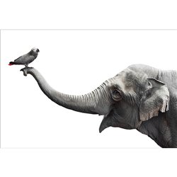 Wall glass art Friends,  60x90x0.4cm