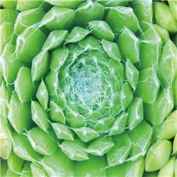 Wall glass art Green center, 100x100x0.4cm