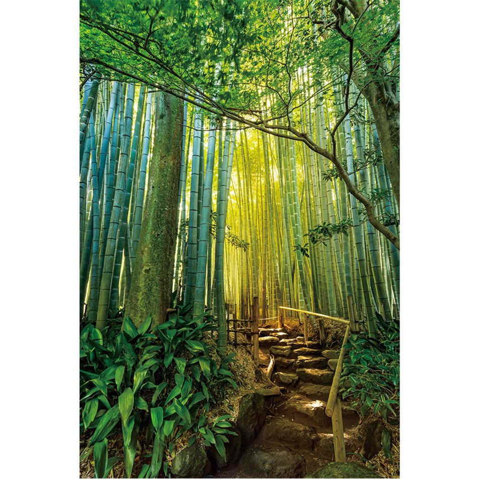 Wall glass art Green forest, 120x80x0.4cm