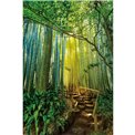 Wall glass art Green forest, 120x80x0.4cm