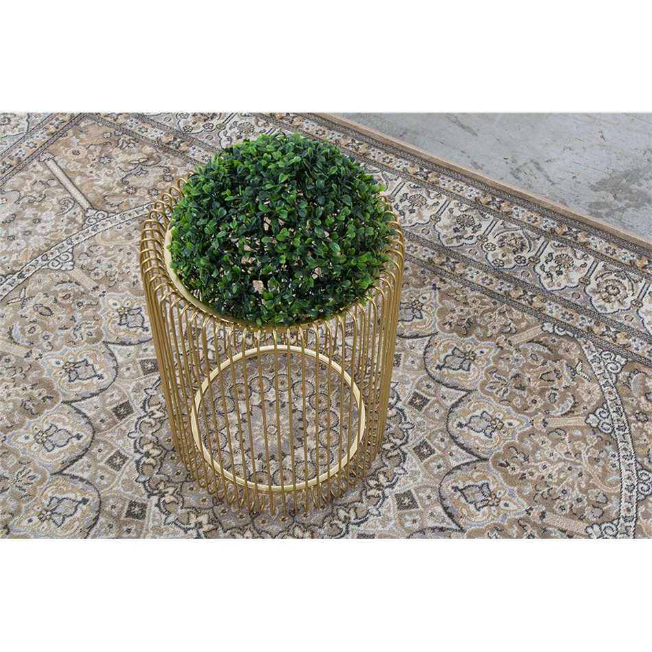 Carpet New Venus Classic, 100x140cm