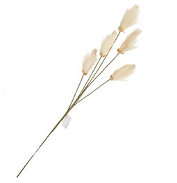 Dust Broom Natural, H102cm