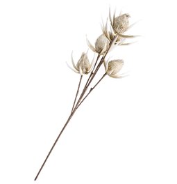 Branch Arenarija Cream, H105cm