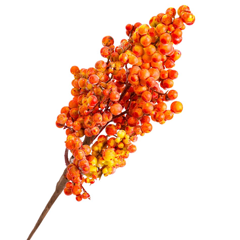 Branch Phoenix OR, H36cm