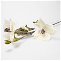 Decorative plant Helleborus A01, cream/green, 120cm