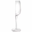 Wine glass  Half a Wine Glass, 21x8cm, 200ml