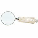 Brass 4 Magnifier w/mop handle NKL finish