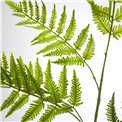 Phyllitis Green, H94cm