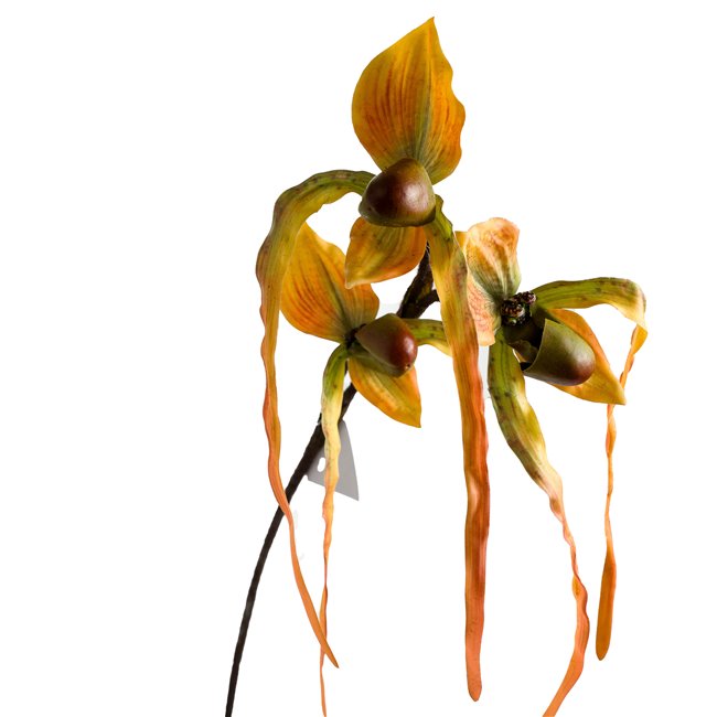 Декоративное растение Orhideja I, H78cm
