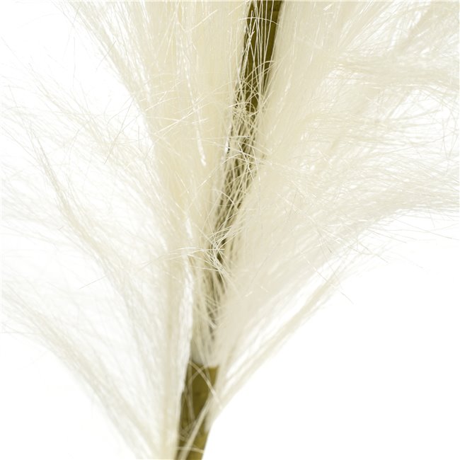 Декоративное растение Malinija Cream, H110cm