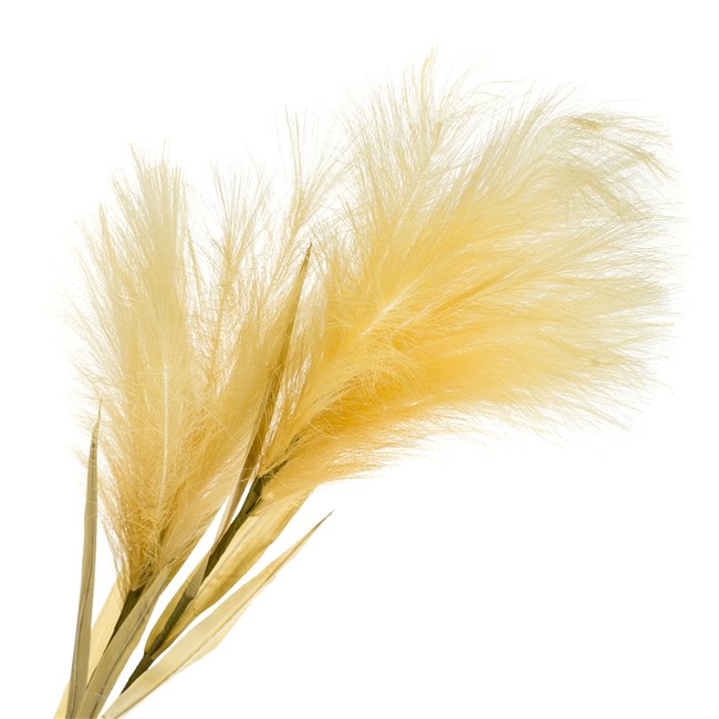 Dekoratiivne taim Feather Grass, H125cm