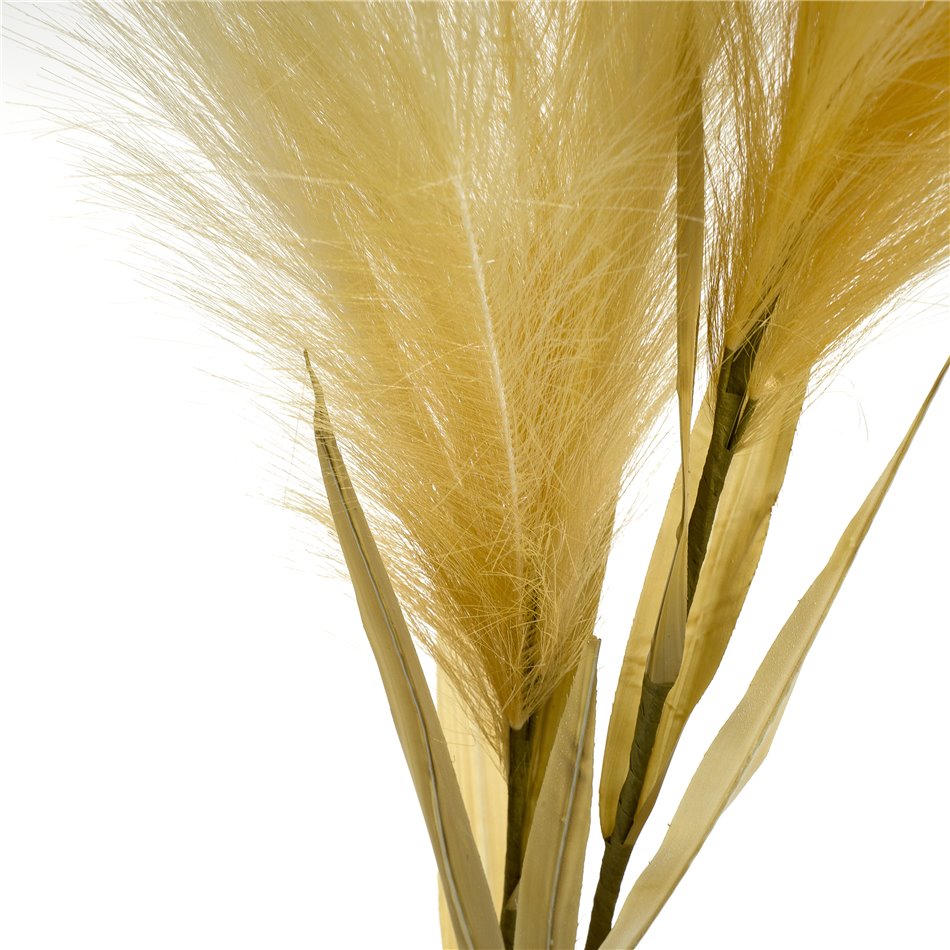 Dekoratiivne taim Feather Grass, H125cm