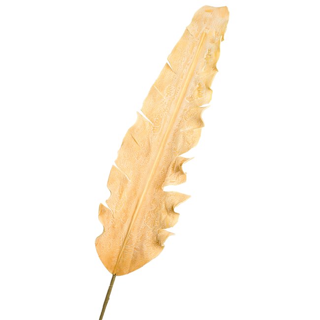 Декоративное растение Euphorbia OR, H100cm