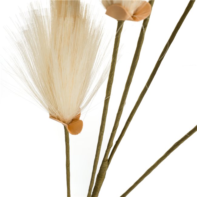 Dekoratiivne taim Dust Broom Natural, H102cm