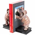 Raamatuhoidja Dancing Elephants komplekt, 29x28x11cm