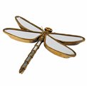 Wall decoration Dragonfly, 46x36x5cm