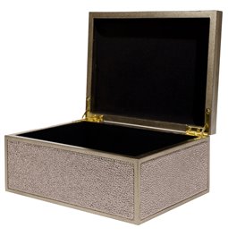Box plasic Fulga silver M, H8.5x20x15cm
