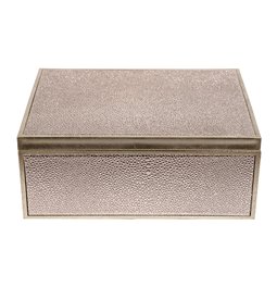Box plasic Fulga silver L, H10x25x18.5cm