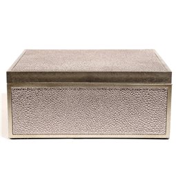 Box plasic Fulga silver M, H8.5x20x15cm