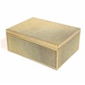 Box plasic Fulga golden L, H10x25x18.5cm
