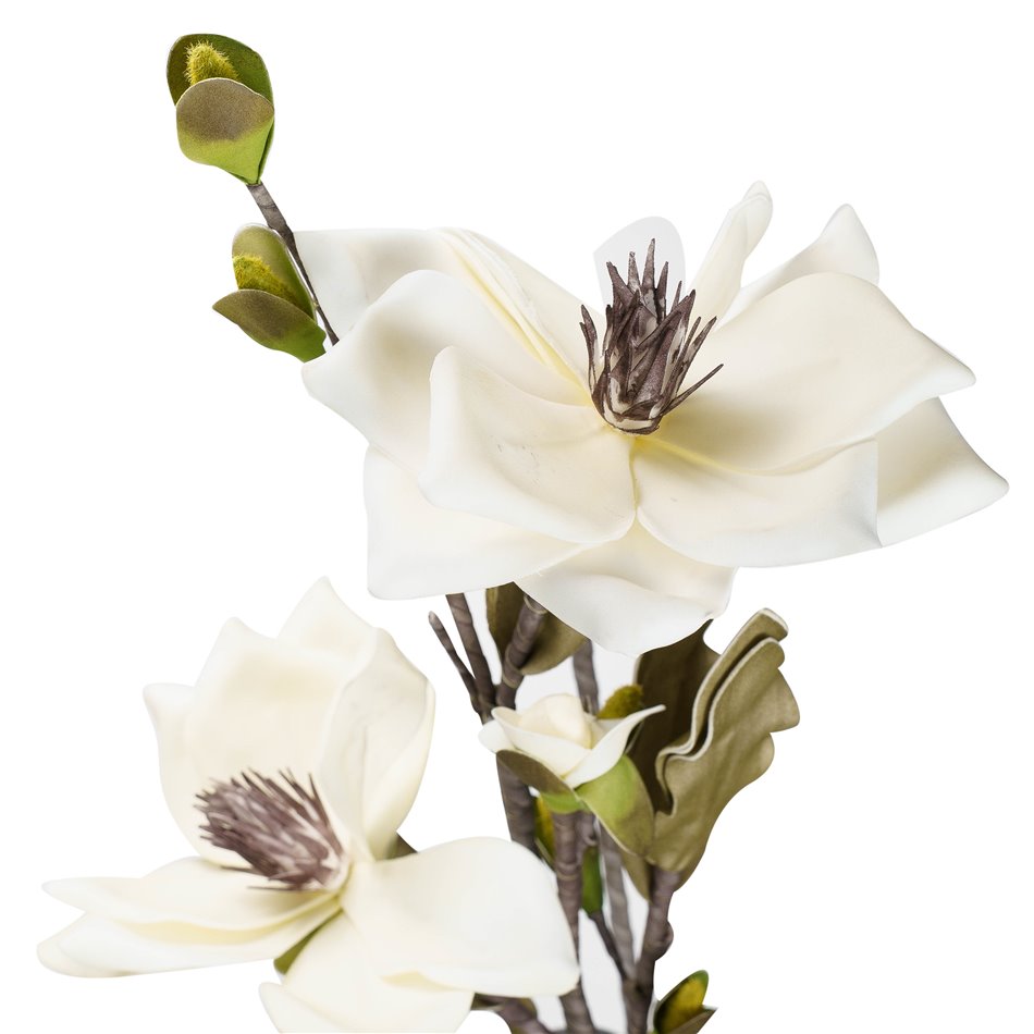 Decorative plant Helleborus A01, cream/green, 120cm