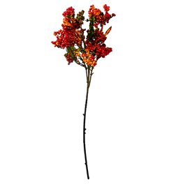 Декоративное растение Berry spray, зеленый/красный, H57cm