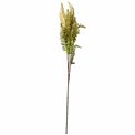 Decorative plant Coniogramme spray, green/brown, H105cm