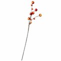Dekoratiivne taim Mini apple branch, punane/oranž/pruun, H117cm