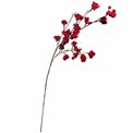 Decorative plant Red berry spray, красный, H118cm