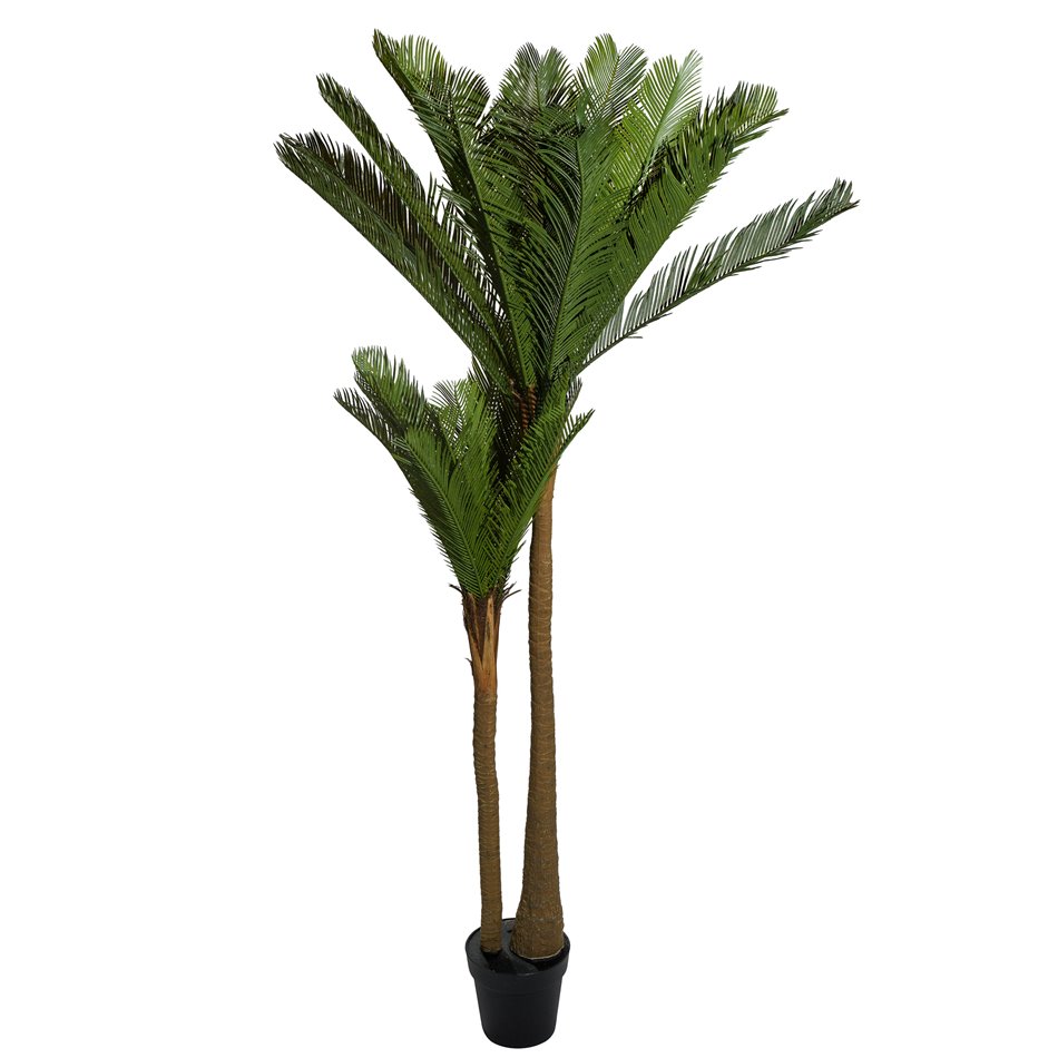 Artificial Palm, H180cm