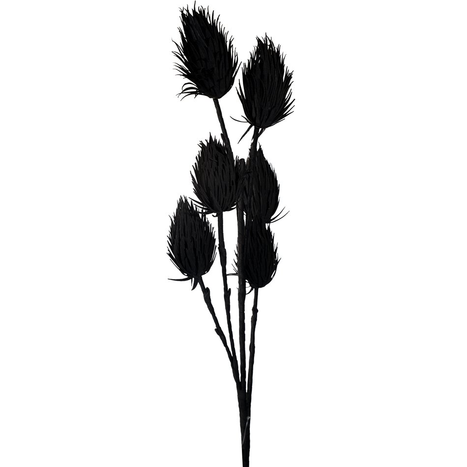Dekoratiivne taim Liya Bud, must, H118cm