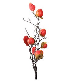 Dekoratiivne taim Chinese persimmon, oranž/pruun, H85cm
